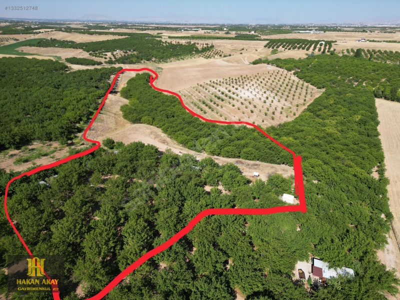 Hakan Akay Gayrimenkulden Özal Köyü Havaalanı Yol Üstünde Satlık — fotoğraf 8