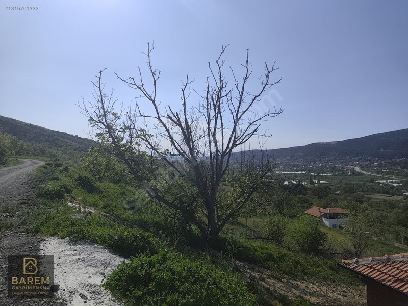 Barem'den Sevincer Köyünde Köy İçi İmarlı Bahçe — fotoğraf 7