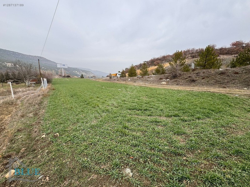 Blue Emlak'tan Eskişehir Yolu 15.km Yola Sıfır Tarla — fotoğraf 2