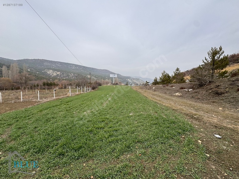 Blue Emlak'tan Eskişehir Yolu 15.km Yola Sıfır Tarla — fotoğraf 3