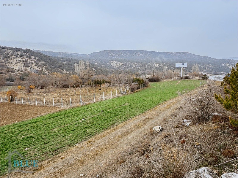 Blue Emlak'tan Eskişehir Yolu 15.km Yola Sıfır Tarla — fotoğraf 4