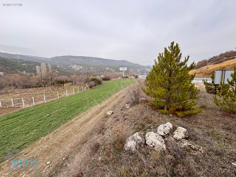 Blue Emlak'tan Eskişehir Yolu 15.km Yola Sıfır Tarla — fotoğraf 5