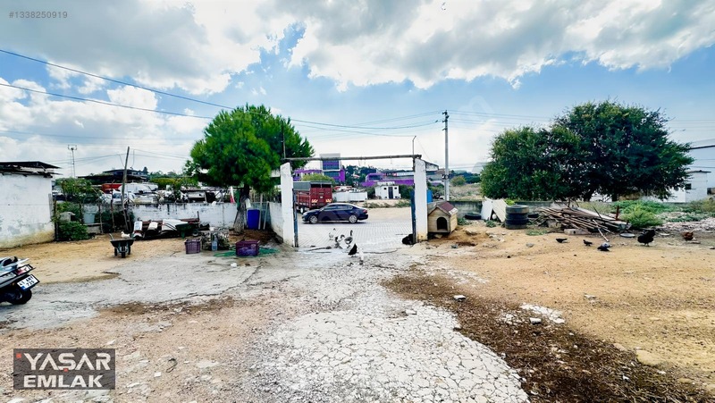 Yelkenkaya Sahilde Satılık Çiftlik 3.179m² % 10 İskanlıdır — fotoğraf 10