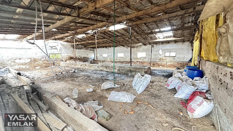 Yelkenkaya Sahilde Satılık Çiftlik 3.179m² % 10 İskanlıdır — fotoğraf 11