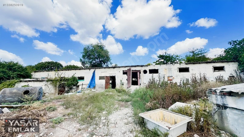 Yelkenkaya Sahilde Satılık Çiftlik 3.179m² % 10 İskanlıdır — fotoğraf 13