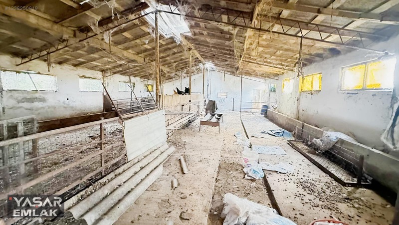 Yelkenkaya Sahilde Satılık Çiftlik 3.179m² % 10 İskanlıdır — fotoğraf 14
