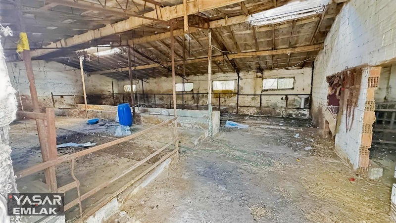Yelkenkaya Sahilde Satılık Çiftlik 3.179m² % 10 İskanlıdır — fotoğraf 15