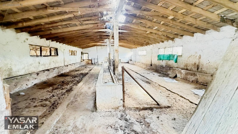 Yelkenkaya Sahilde Satılık Çiftlik 3.179m² % 10 İskanlıdır — fotoğraf 17