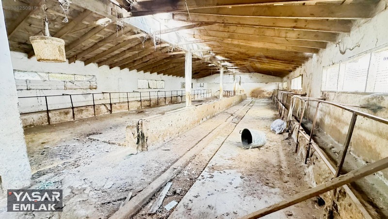 Yelkenkaya Sahilde Satılık Çiftlik 3.179m² % 10 İskanlıdır — fotoğraf 18