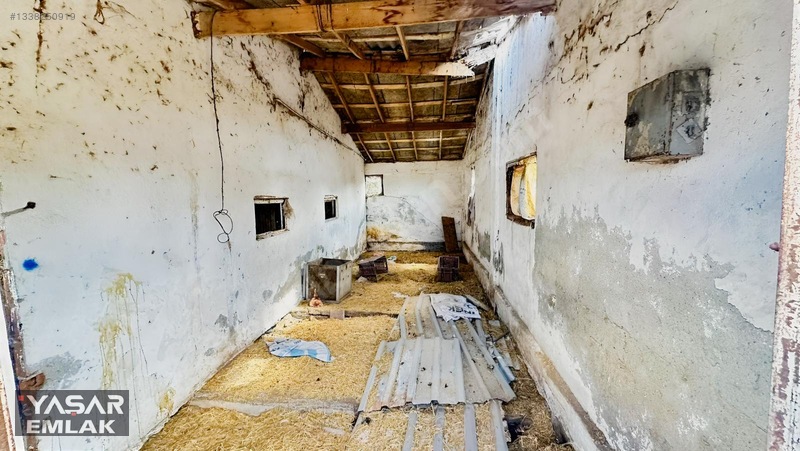 Yelkenkaya Sahilde Satılık Çiftlik 3.179m² % 10 İskanlıdır — fotoğraf 19