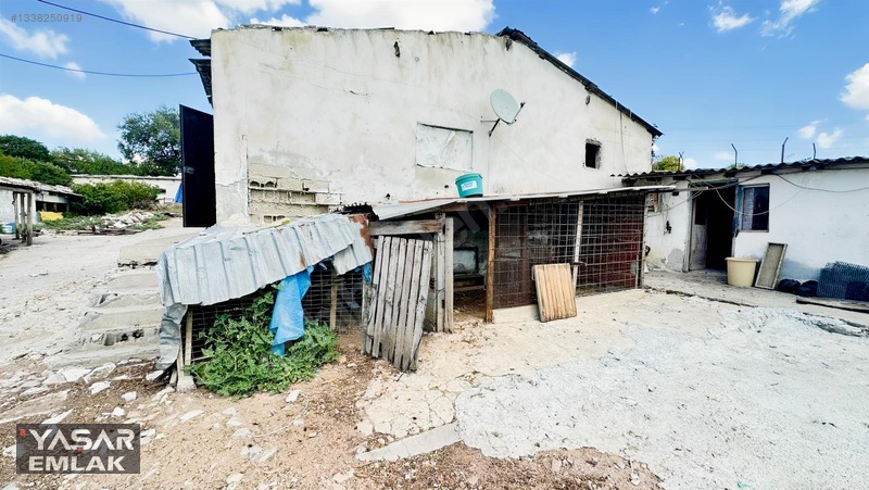 Yelkenkaya Sahilde Satılık Çiftlik 3.179m² % 10 İskanlıdır — fotoğraf 21