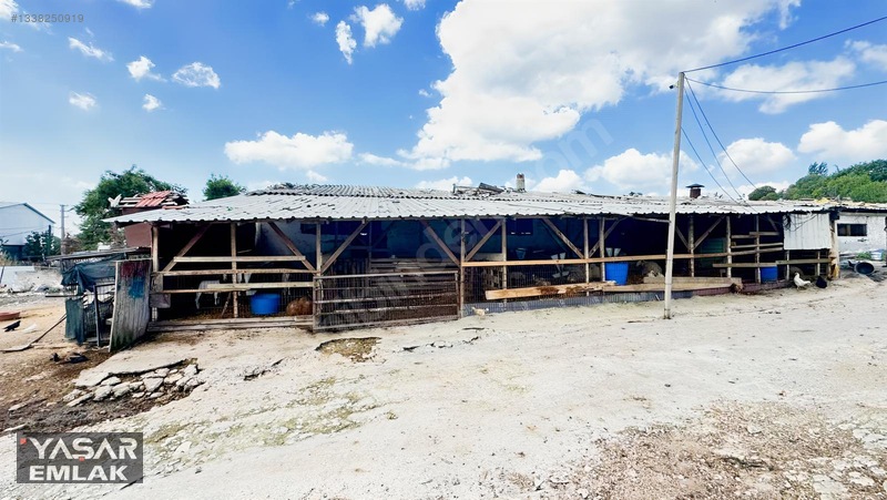 Yelkenkaya Sahilde Satılık Çiftlik 3.179m² % 10 İskanlıdır — fotoğraf 22