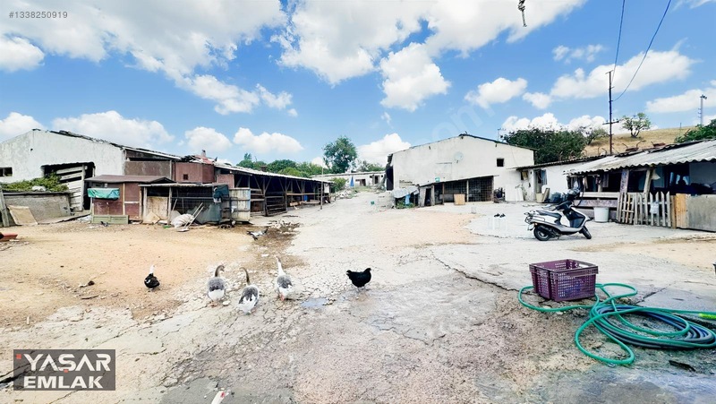 Yelkenkaya Sahilde Satılık Çiftlik 3.179m² % 10 İskanlıdır — fotoğraf 23