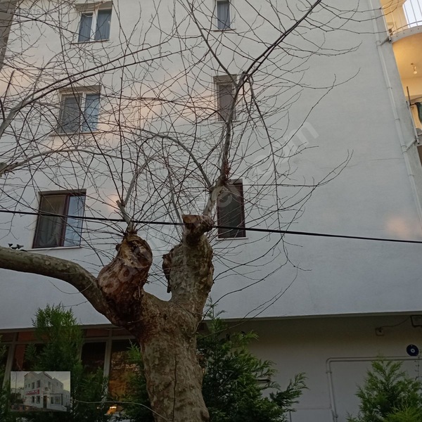 Bayramoğlu Ada Dut Sokakta 2+1 Kombili Bahçe Katı.... — fotoğraf 27