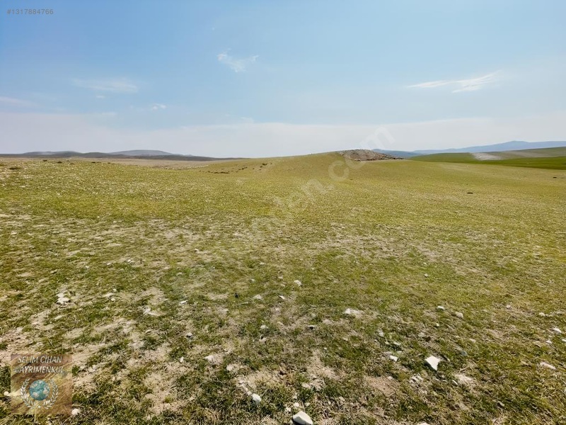 Ankara Çubuk'Ta 500 M² Yatırımlık Tarla