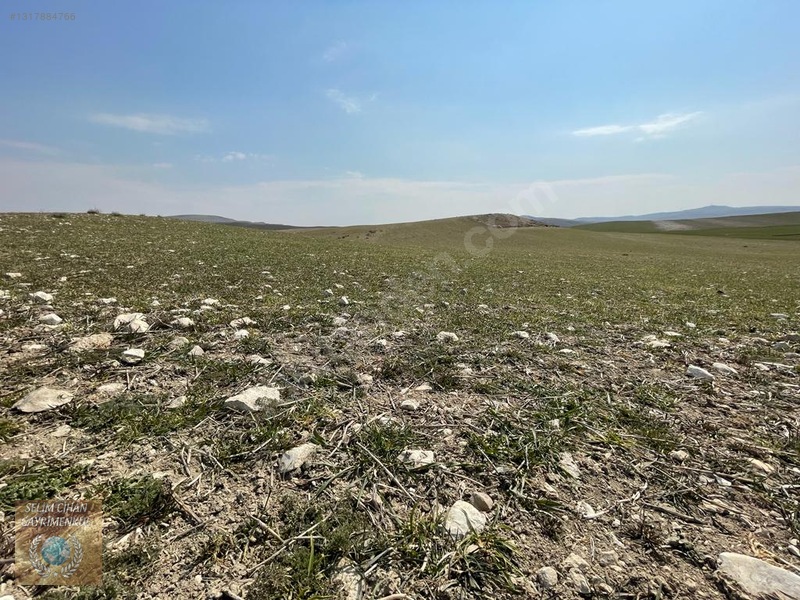 Ankara Çubuk'ta 500 M² Yatırımlık Tarla — fotoğraf 3