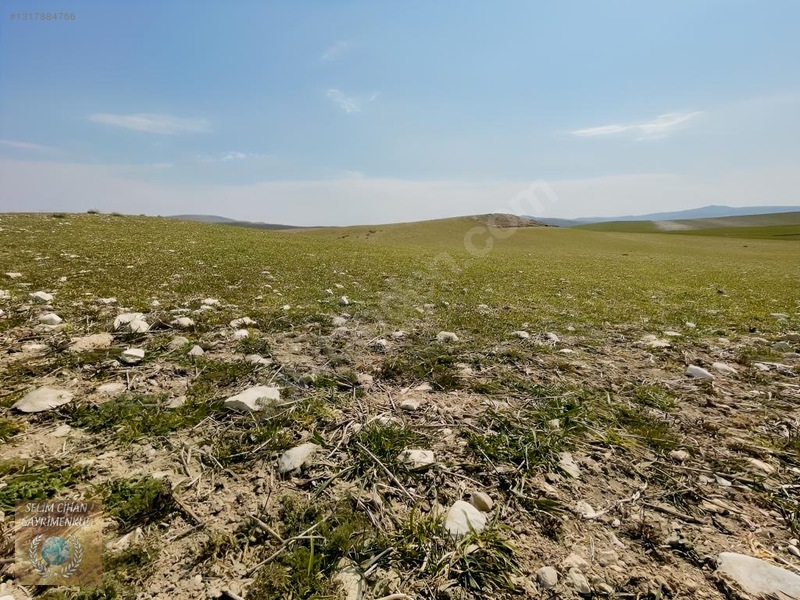 Ankara Çubuk'ta 500 M² Yatırımlık Tarla — fotoğraf 4
