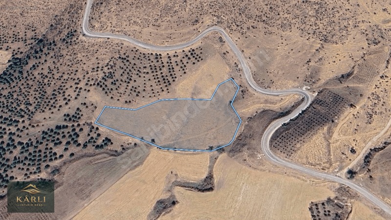 Alaşehir Serinyaylada Asfalt Yol Bitişiği 14.851 M² Tarla — fotoğraf 3
