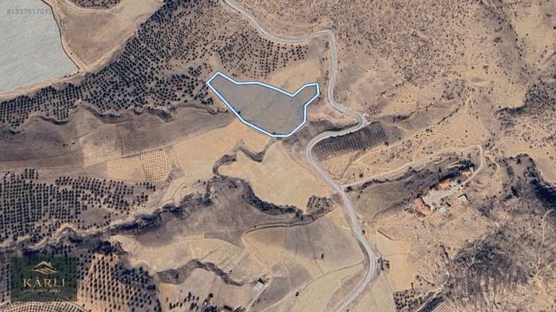 Alaşehir Serinyaylada Asfalt Yol Bitişiği 14.851 M² Tarla — fotoğraf 13