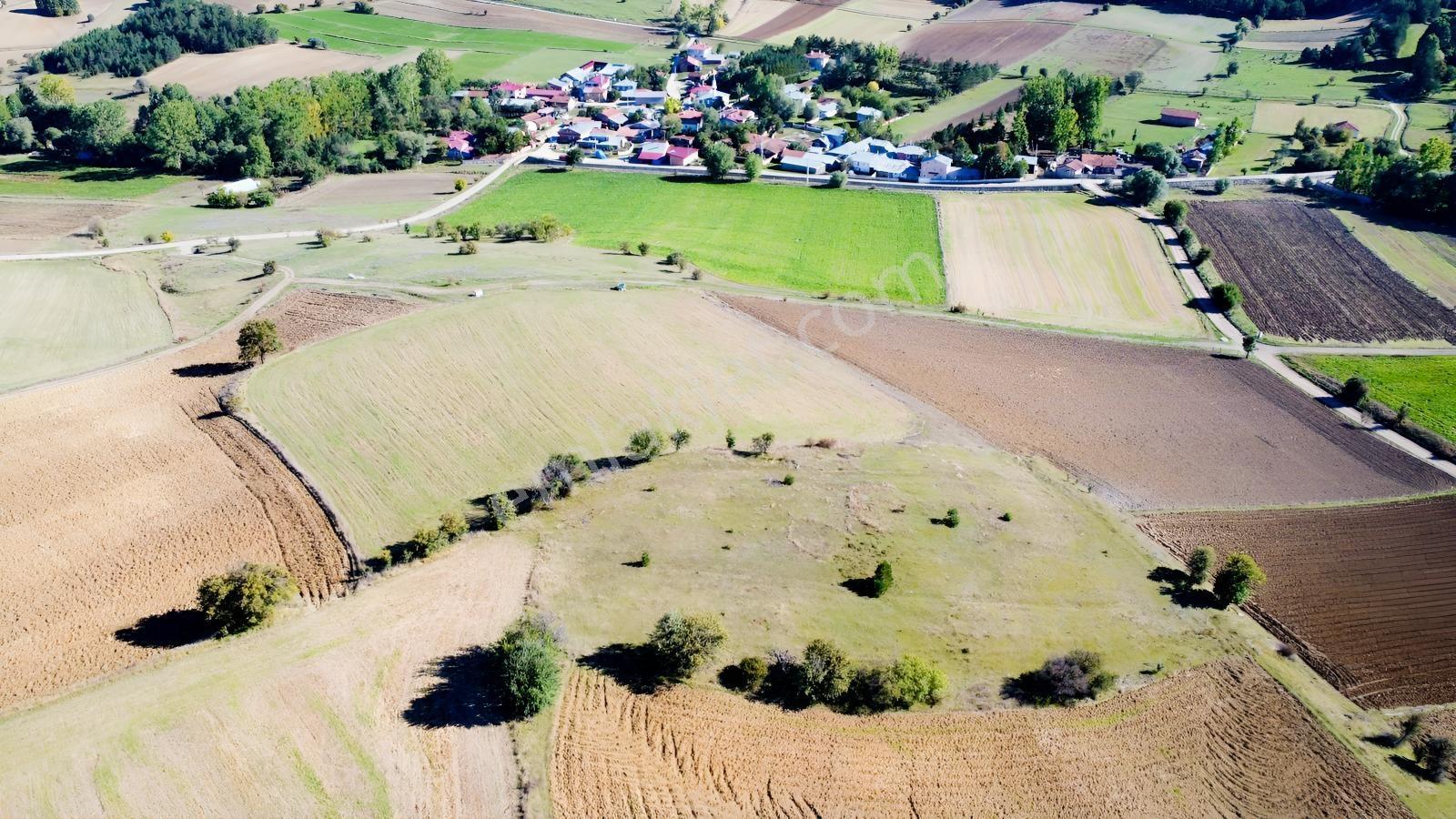 Verimli Tarım Arazisi Emreler Köyü'nde — fotoğraf 8