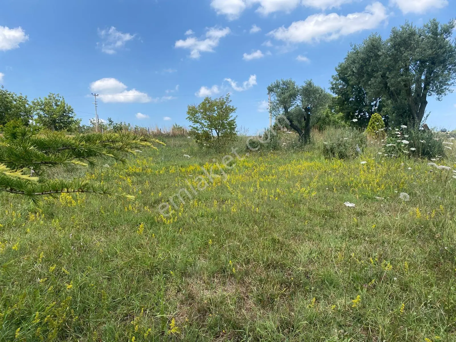 Serdivan Kızılcıklı’da Satılık 2.435 M2 Tarla — fotoğraf 2