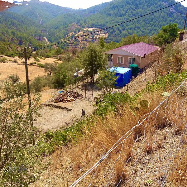 Demirtaş Çamlıca Mahallesi Satılık 2.185 M2 Arazi İçerisinde Ev — fotoğraf 4