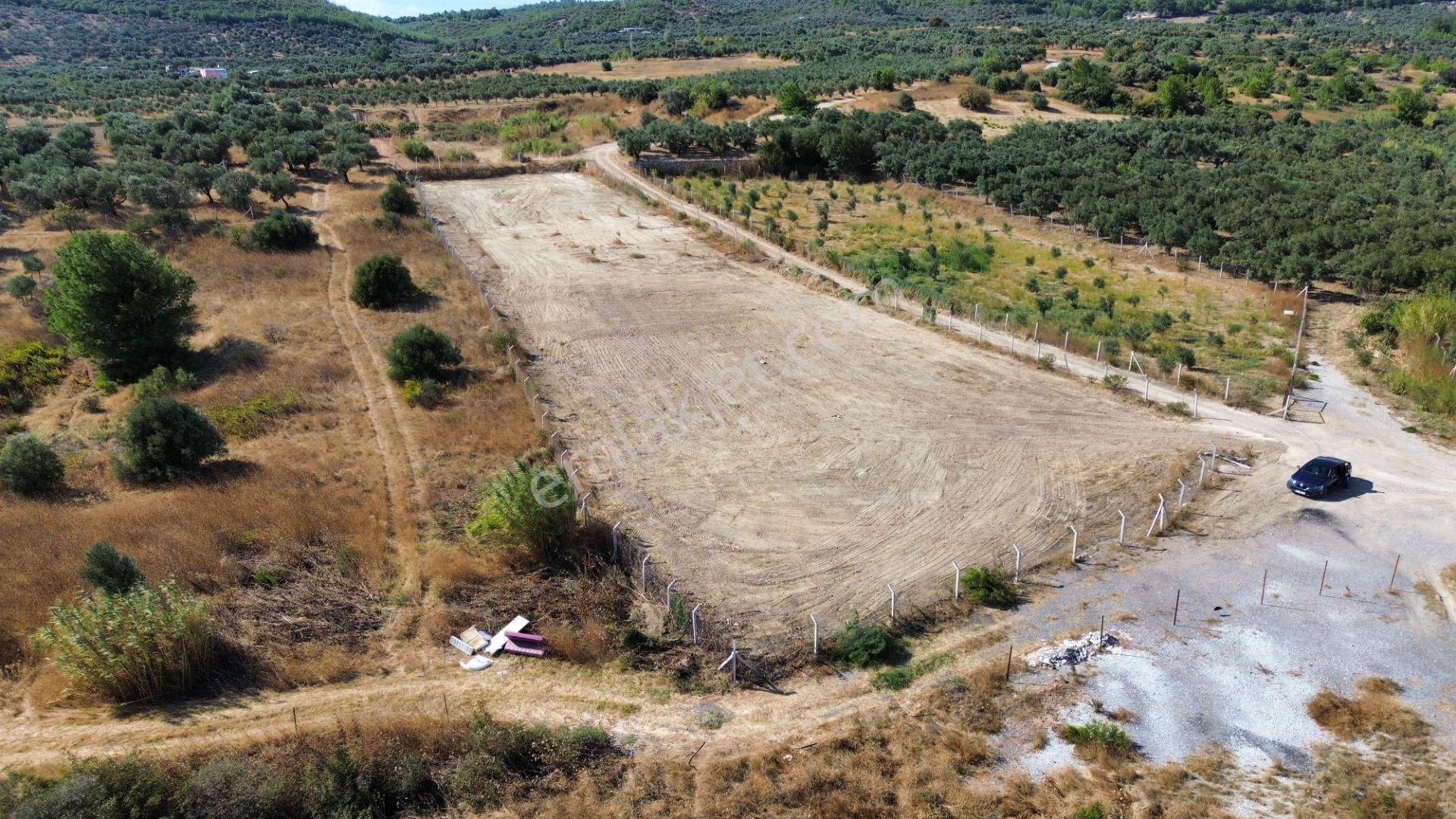 Torbalı Çapak'ta 3885 M² Doğa Manzaralı Satılık Tarlalar Köyü Olan Çapakta Bulun...