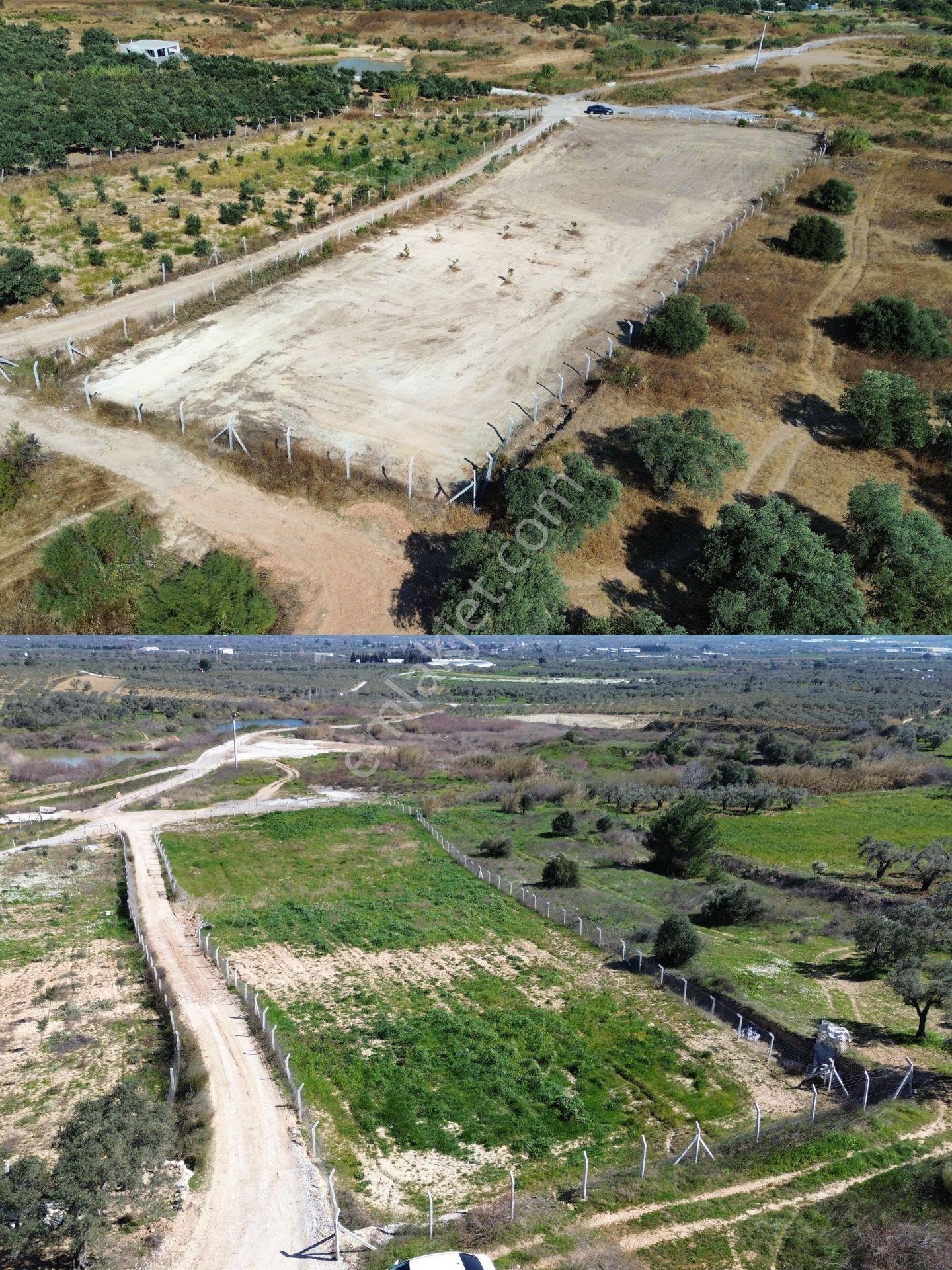 Torbalı Çapak'ta 3885 M² Doğa Manzaralı Satılık Tarlalar Köyü Olan Çapakta Bulunan Arazimiz Tek Tapu — fotoğraf 2