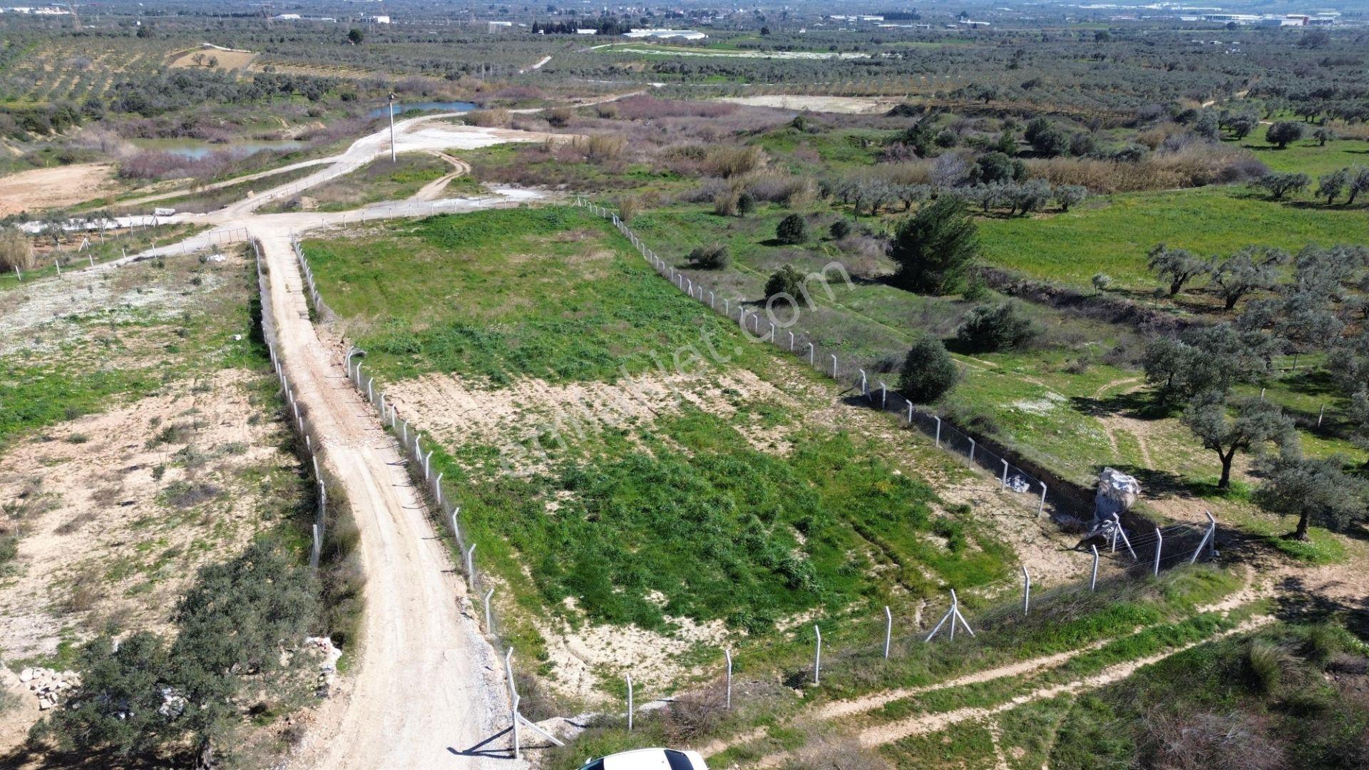 Torbalı Çapak'ta 3885 M² Doğa Manzaralı Satılık Tarlalar Köyü Olan Çapakta Bulunan Arazimiz Tek Tapu — fotoğraf 3