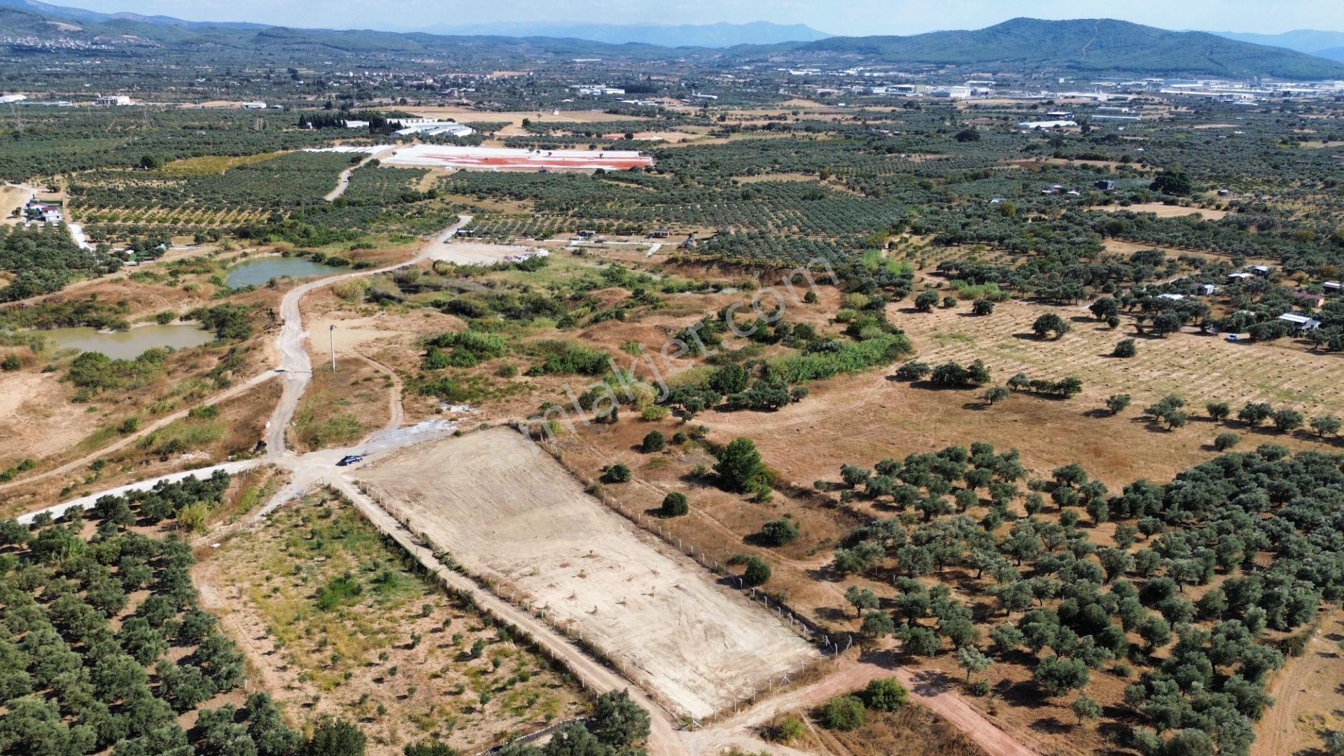 Torbalı Çapak'ta 3885 M² Doğa Manzaralı Satılık Tarlalar Köyü Olan Çapakta Bulunan Arazimiz Tek Tapu — fotoğraf 4