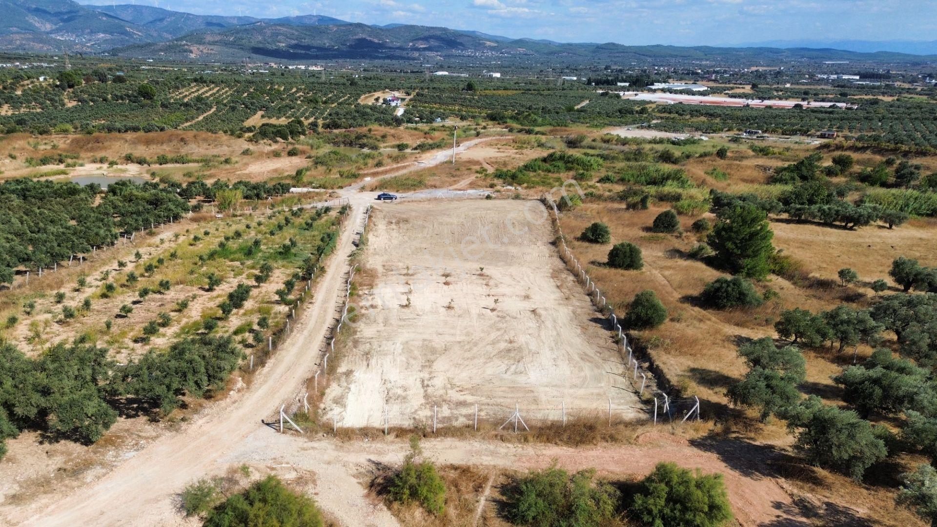 Torbalı Çapak'ta 3885 M² Doğa Manzaralı Satılık Tarlalar Köyü Olan Çapakta Bulunan Arazimiz Tek Tapu — fotoğraf 5