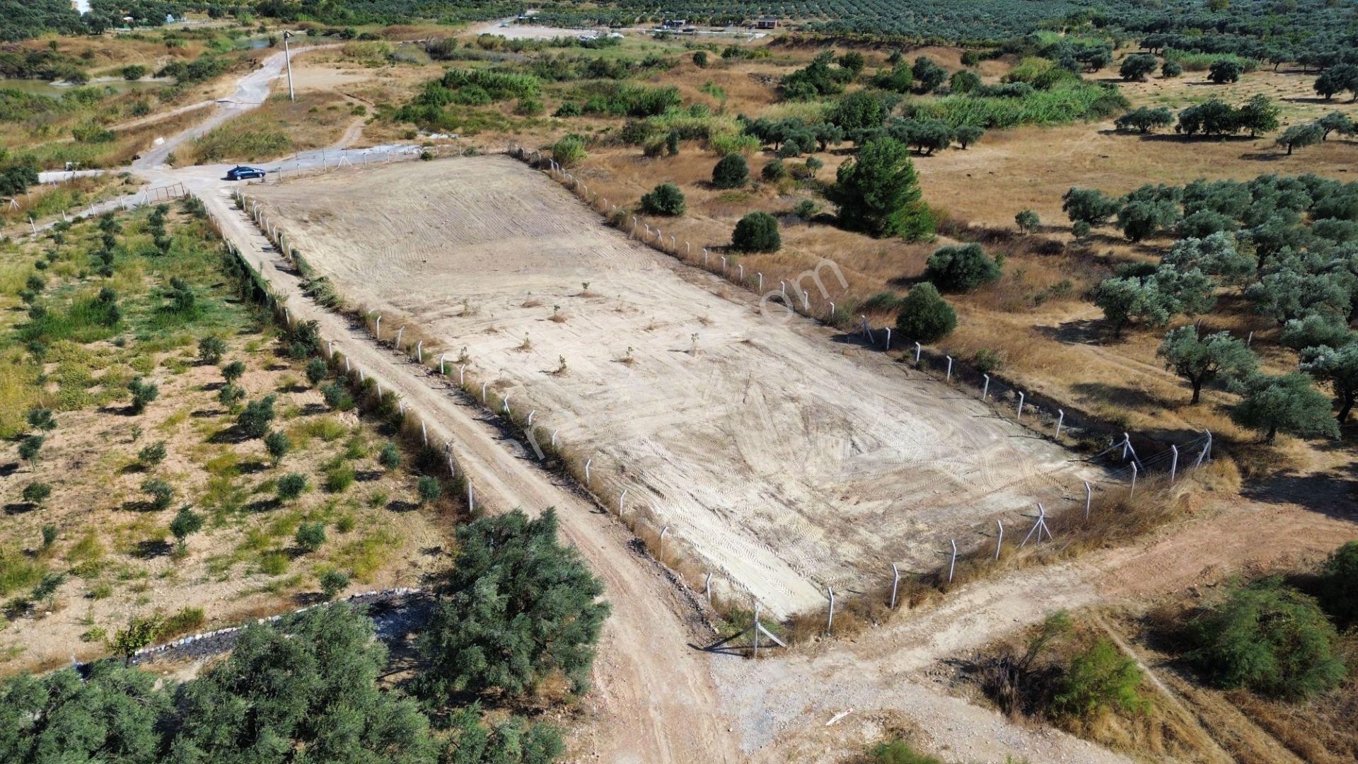 Torbalı Çapak'ta 3885 M² Doğa Manzaralı Satılık Tarlalar Köyü Olan Çapakta Bulunan Arazimiz Tek Tapu — fotoğraf 7