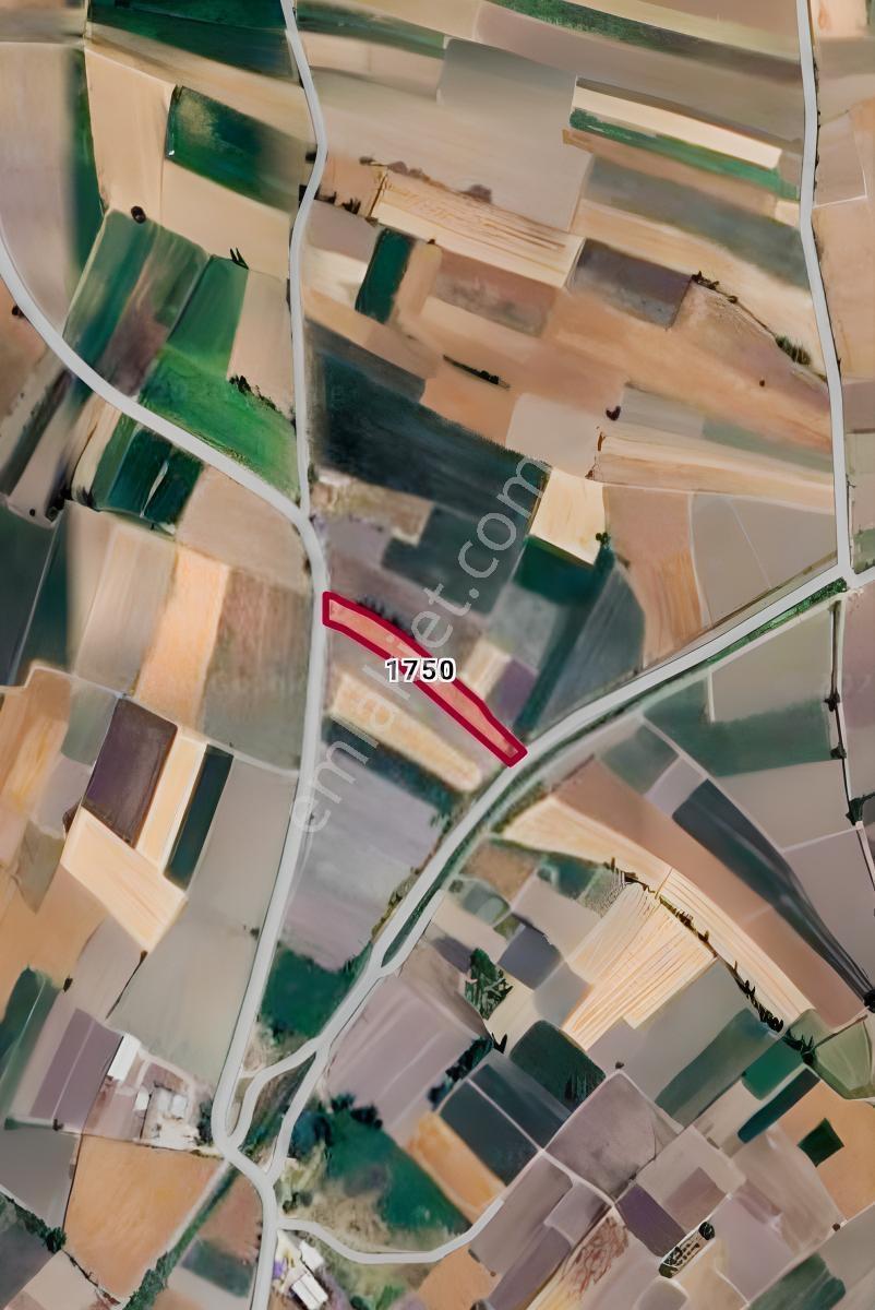Yenice Mah. Çift Taraftan Yola Cepheli Satılık 3608 M2 Tarla