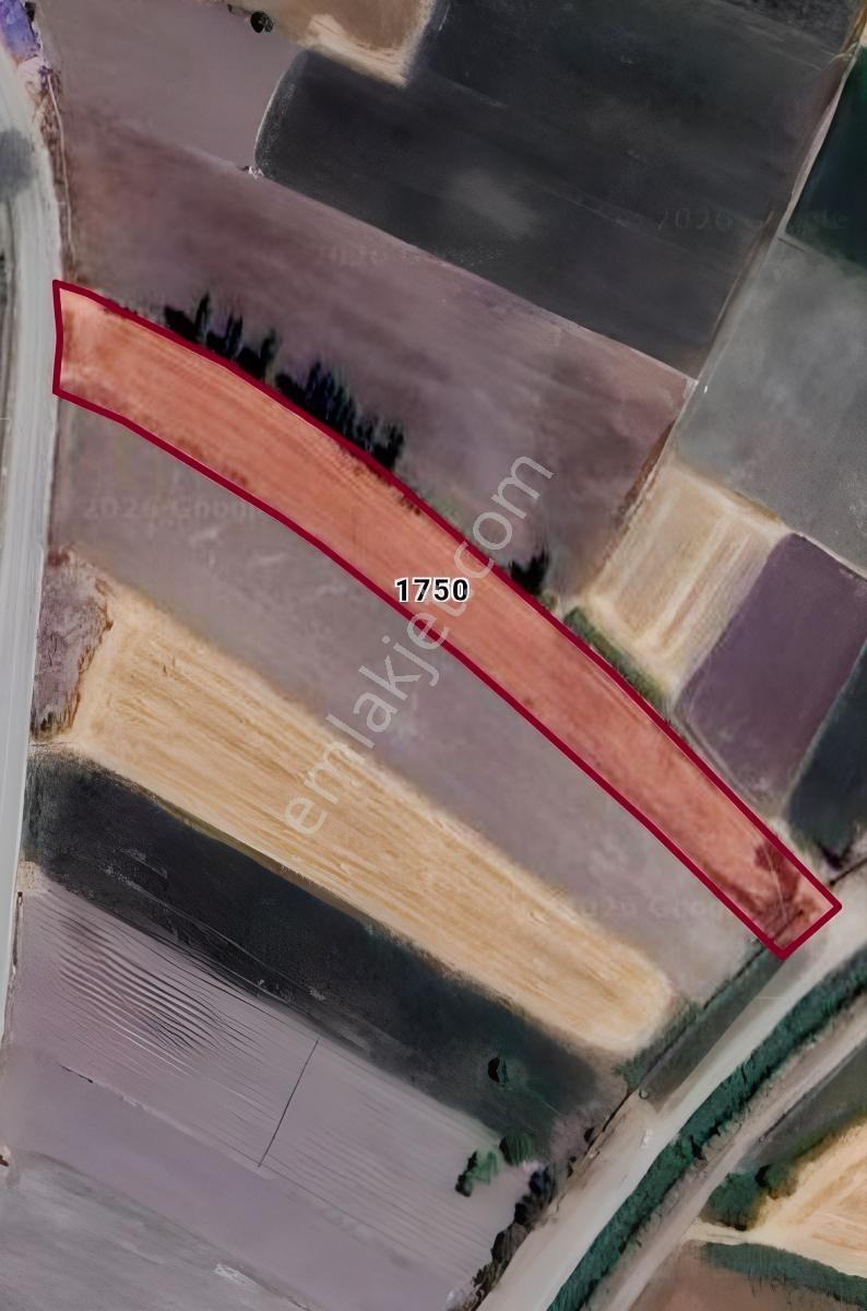 Yenice Mah. Çift Taraftan Yola Cepheli Satılık 3608 M2 Tarla — fotoğraf 8