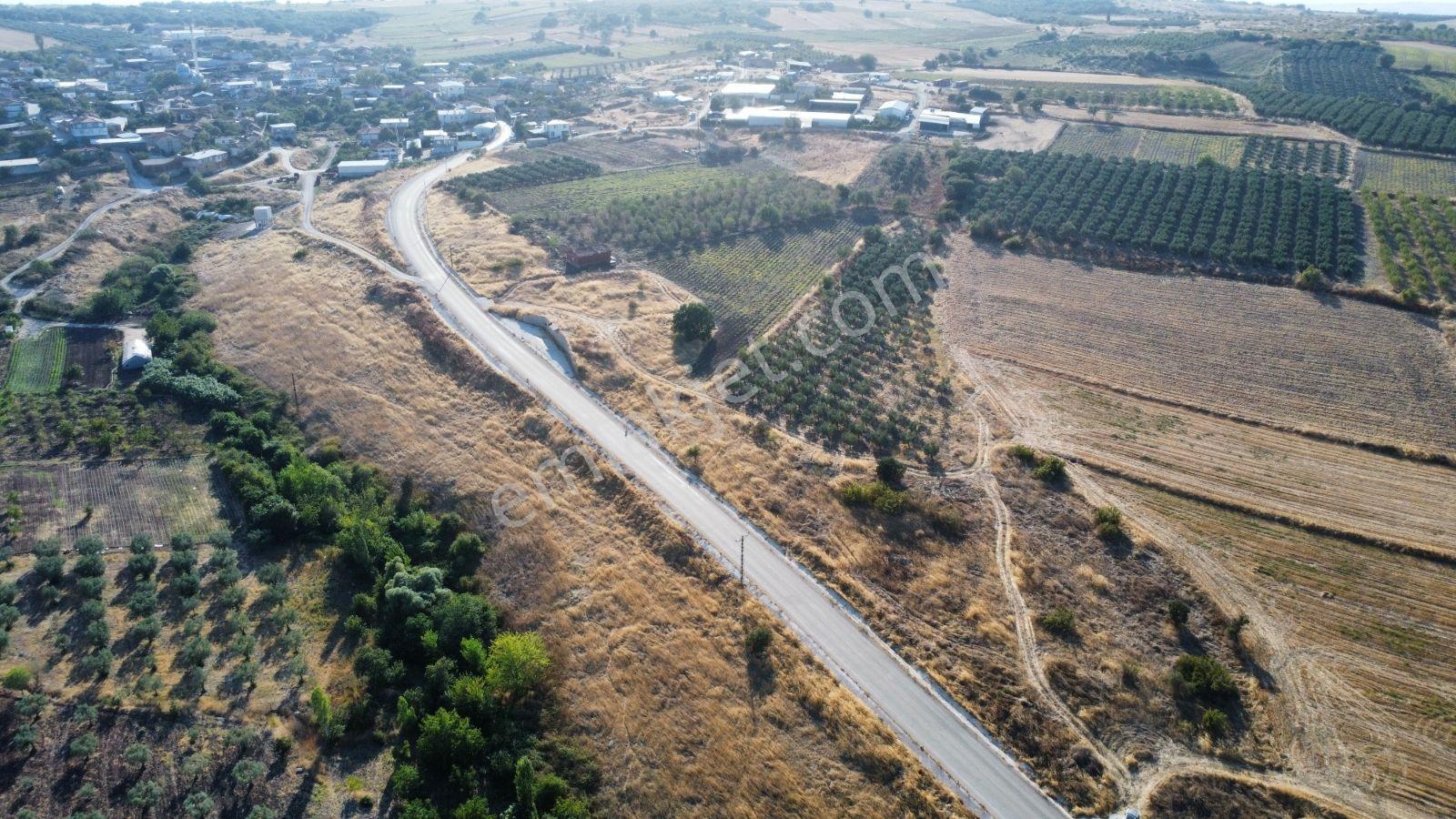 Çavuşköyde Asfalta Cephe Satılık İmarlı Arsa