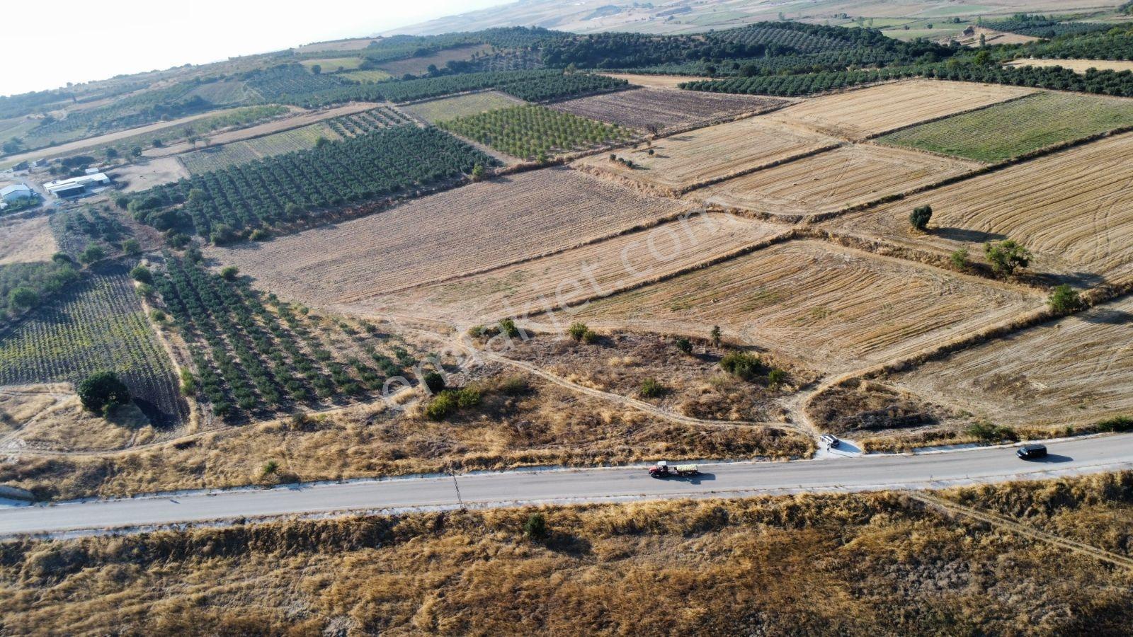 Çavuşköyde Asfalta Cephe Satılık İmarlı Arsa — fotoğraf 2