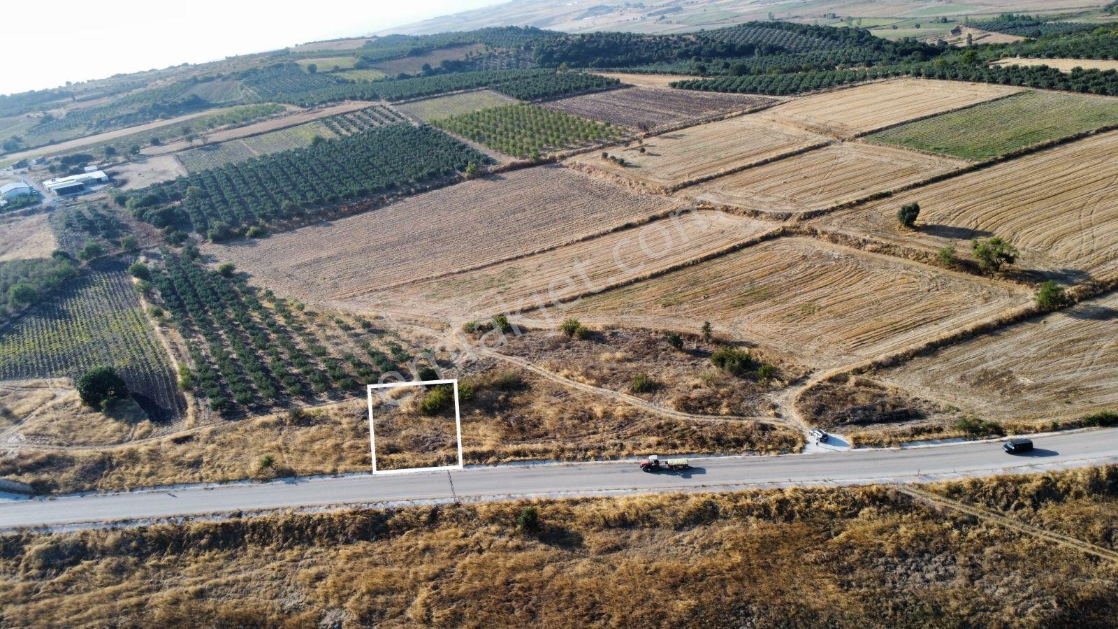 Çavuşköyde Asfalta Cephe Satılık İmarlı Arsa — fotoğraf 3