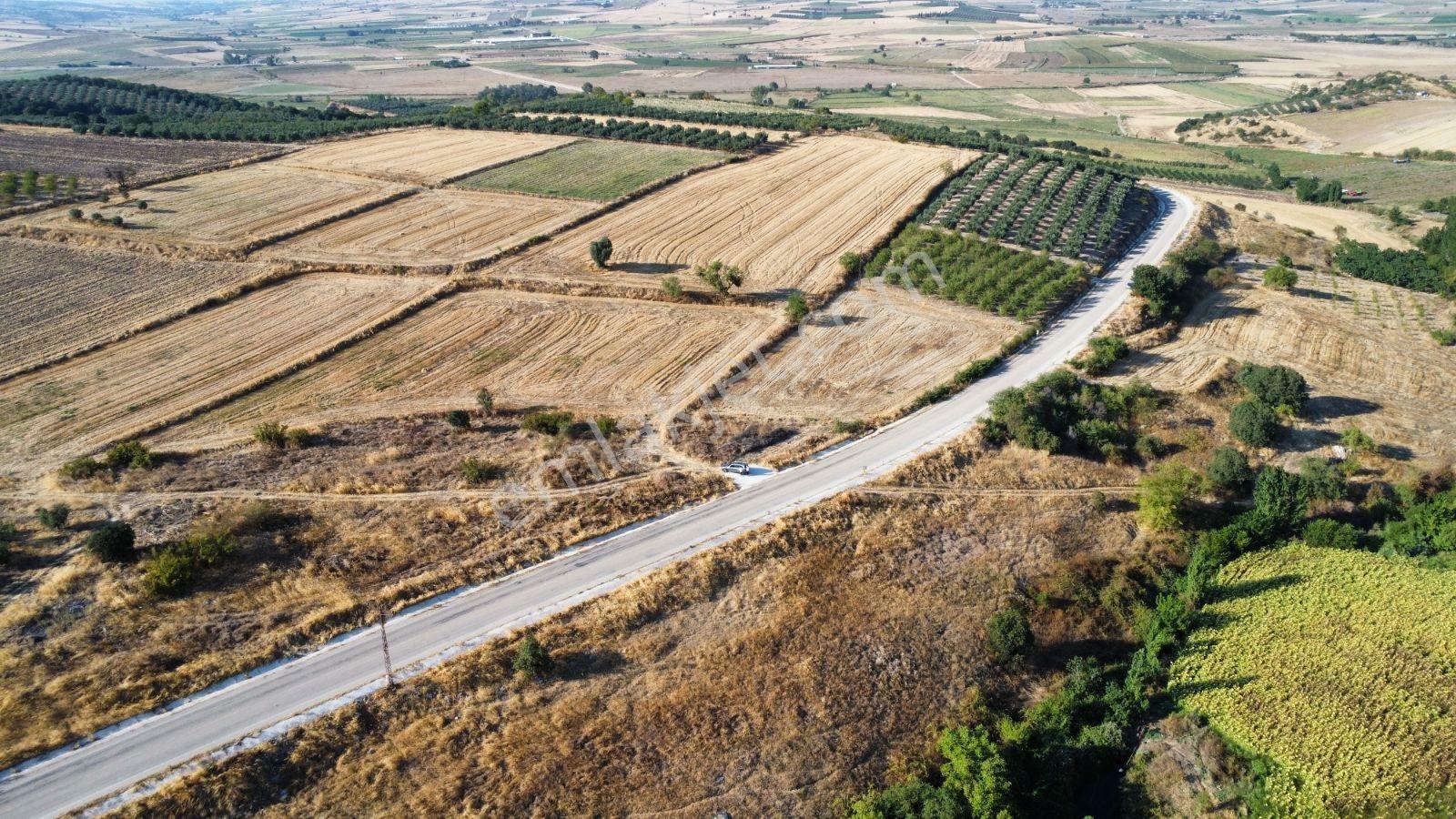 Çavuşköyde Asfalta Cephe Satılık İmarlı Arsa — fotoğraf 4