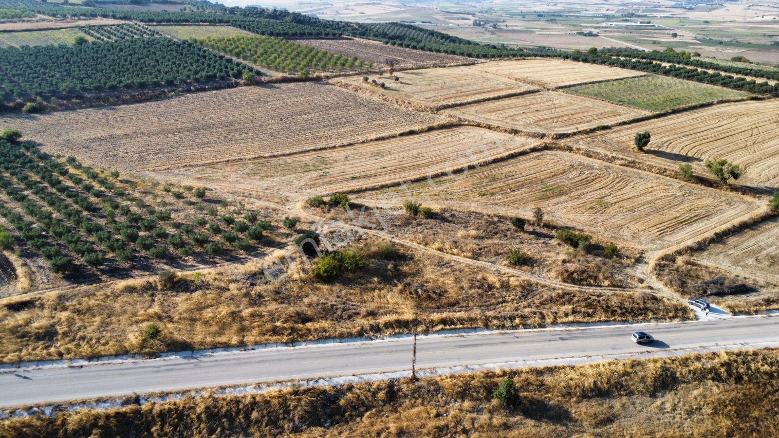 Çavuşköyde Asfalta Cephe Satılık İmarlı Arsa — fotoğraf 6