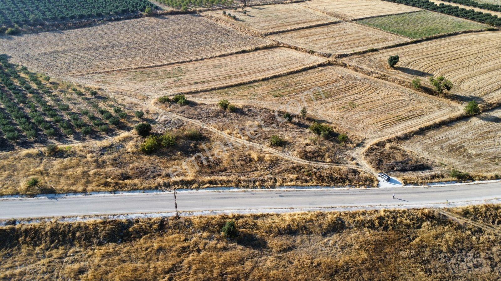 Çavuşköyde Asfalta Cephe Satılık İmarlı Arsa — fotoğraf 7