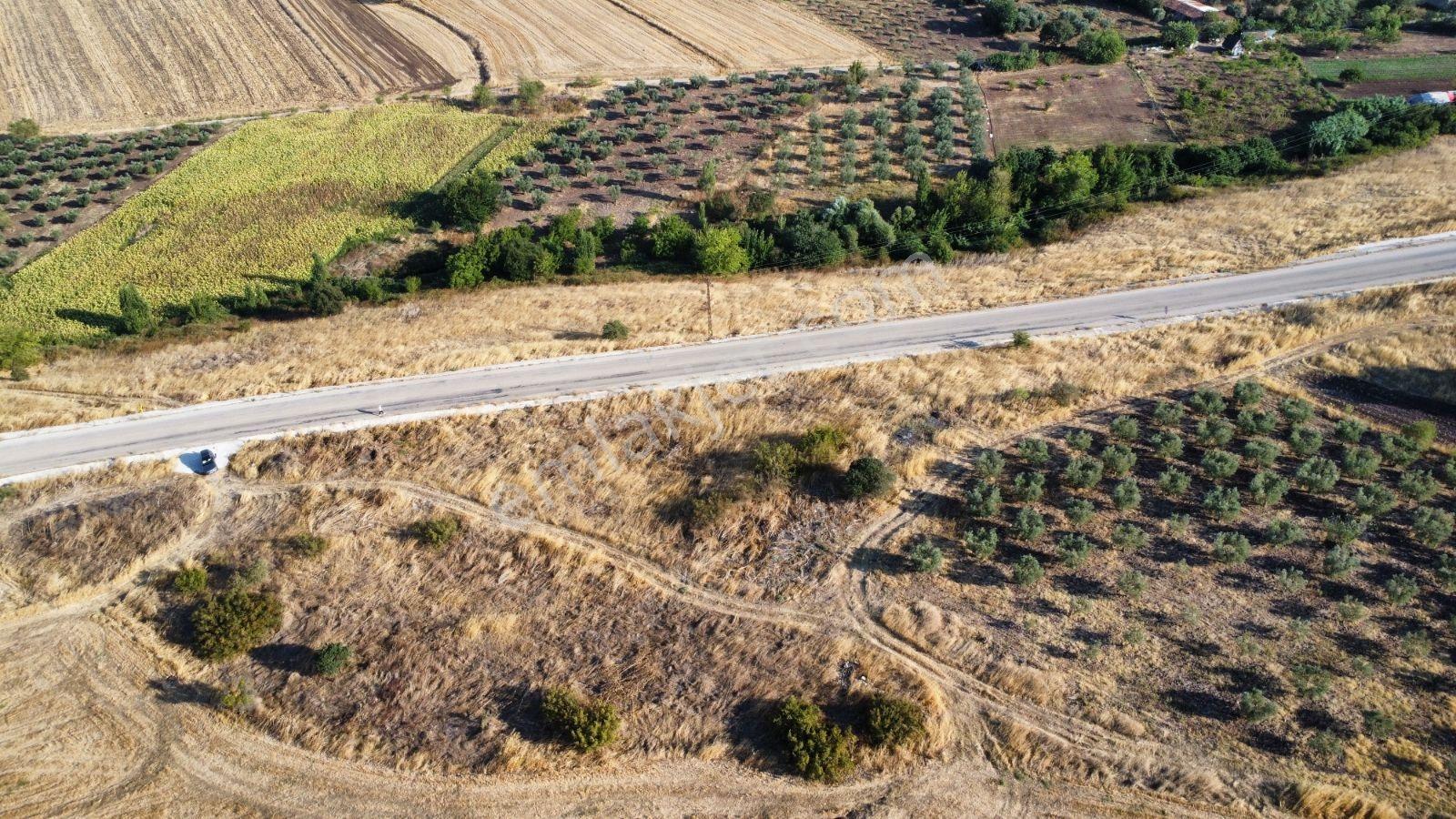 Çavuşköyde Asfalta Cephe Satılık İmarlı Arsa — fotoğraf 8