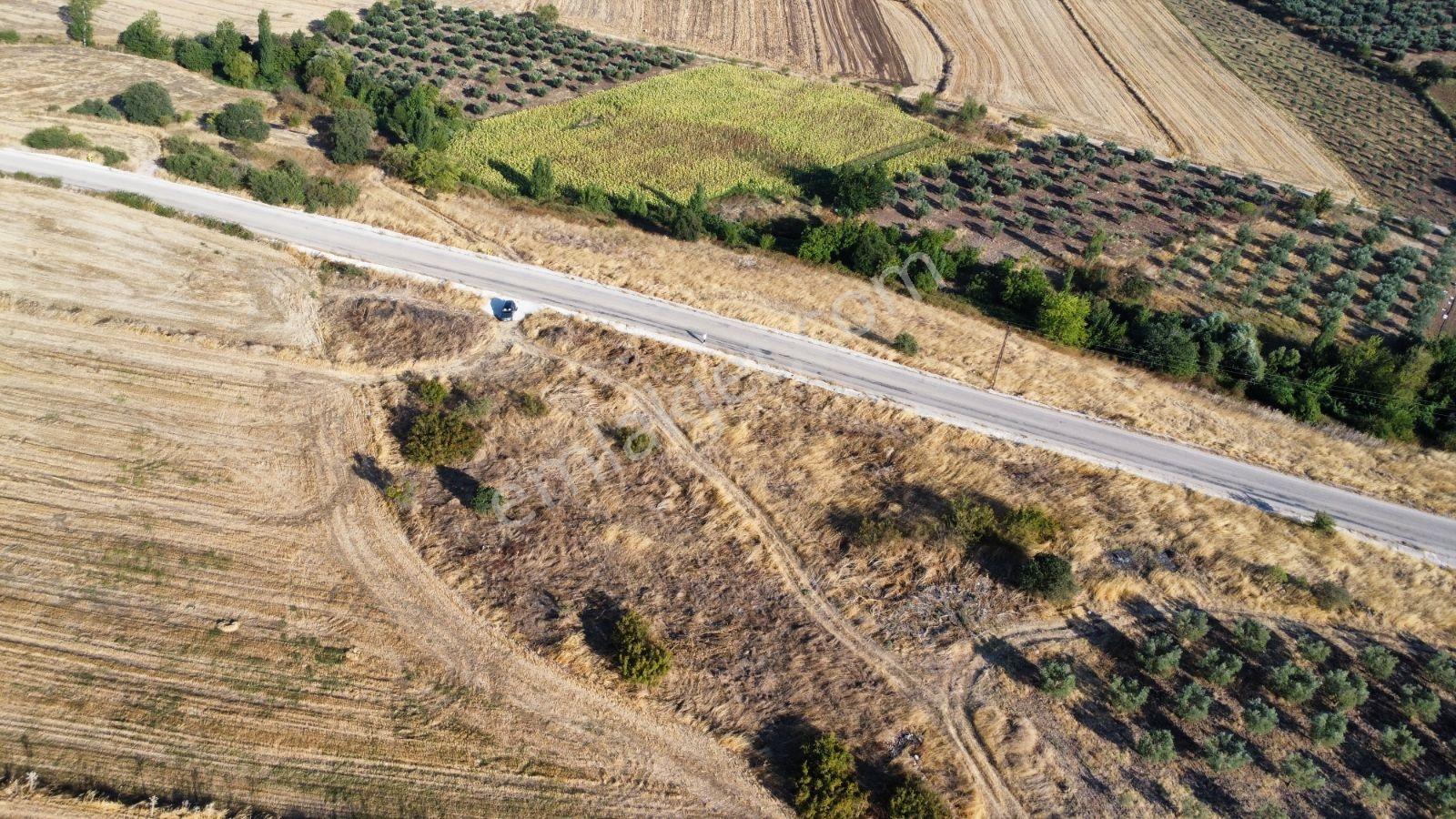 Çavuşköyde Asfalta Cephe Satılık İmarlı Arsa — fotoğraf 9