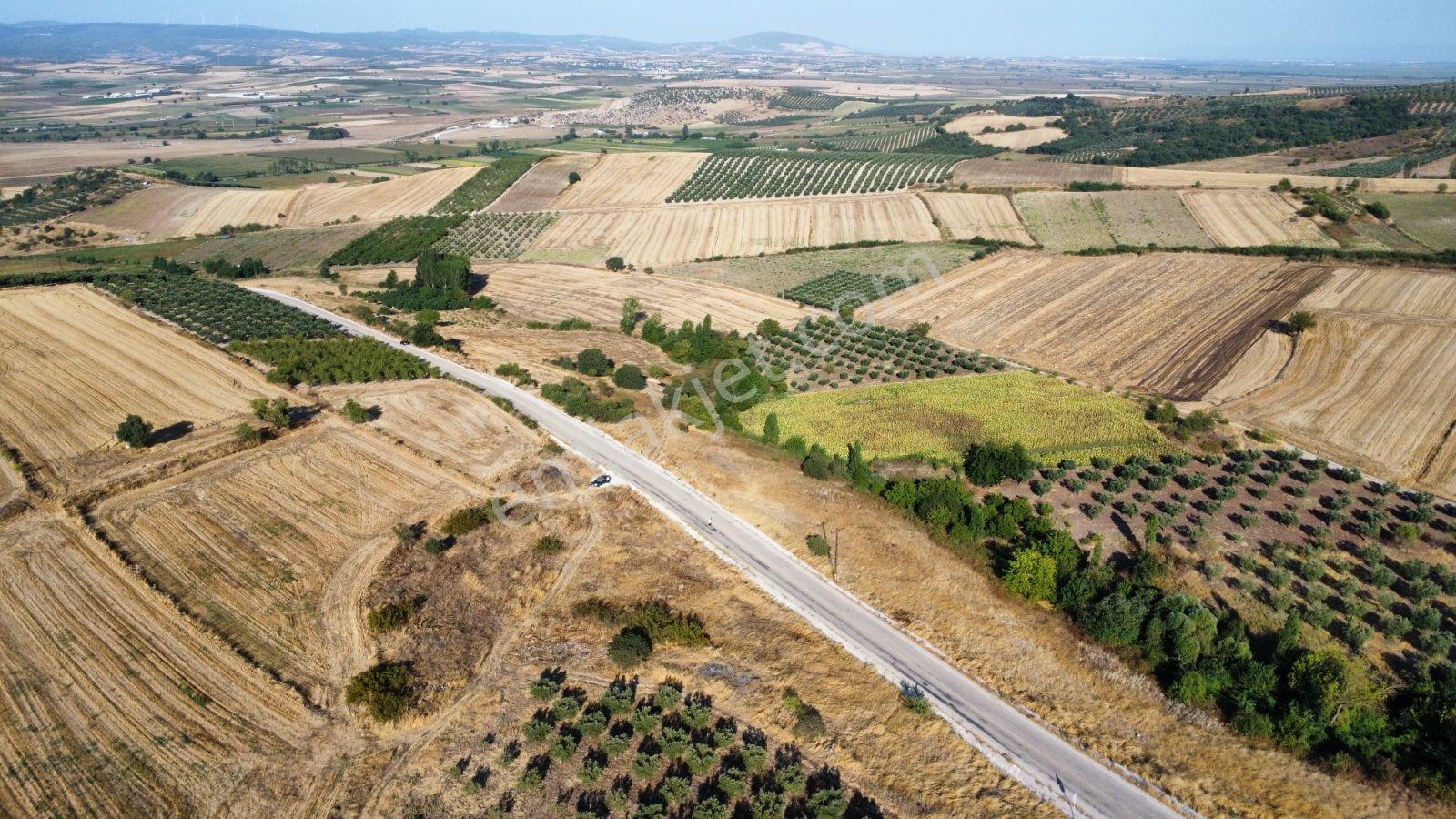 Çavuşköyde Asfalta Cephe Satılık İmarlı Arsa — fotoğraf 10