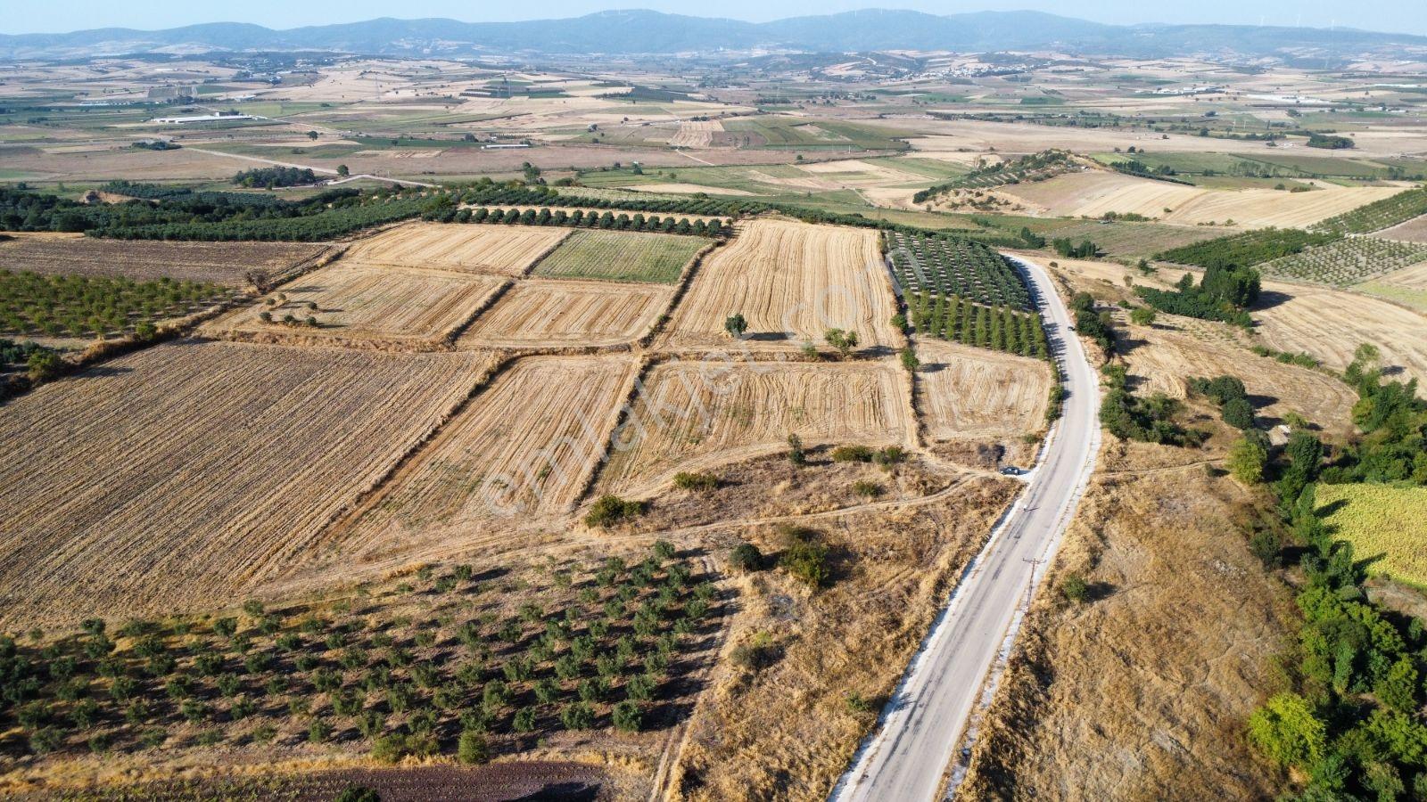 Çavuşköyde Asfalta Cephe Satılık İmarlı Arsa — fotoğraf 11