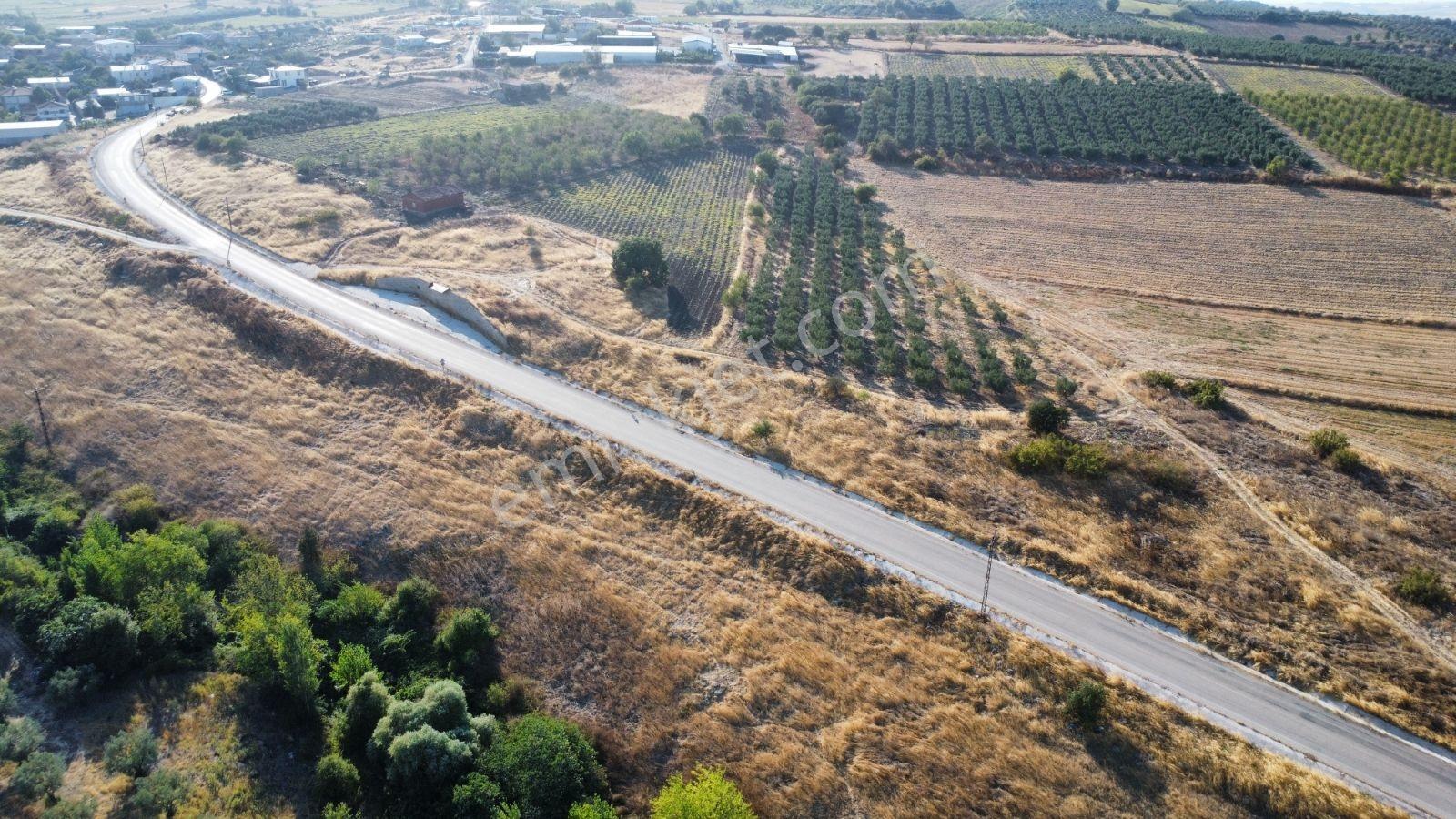 Çavuşköyde Asfalta Cephe Satılık İmarlı Arsa — fotoğraf 14
