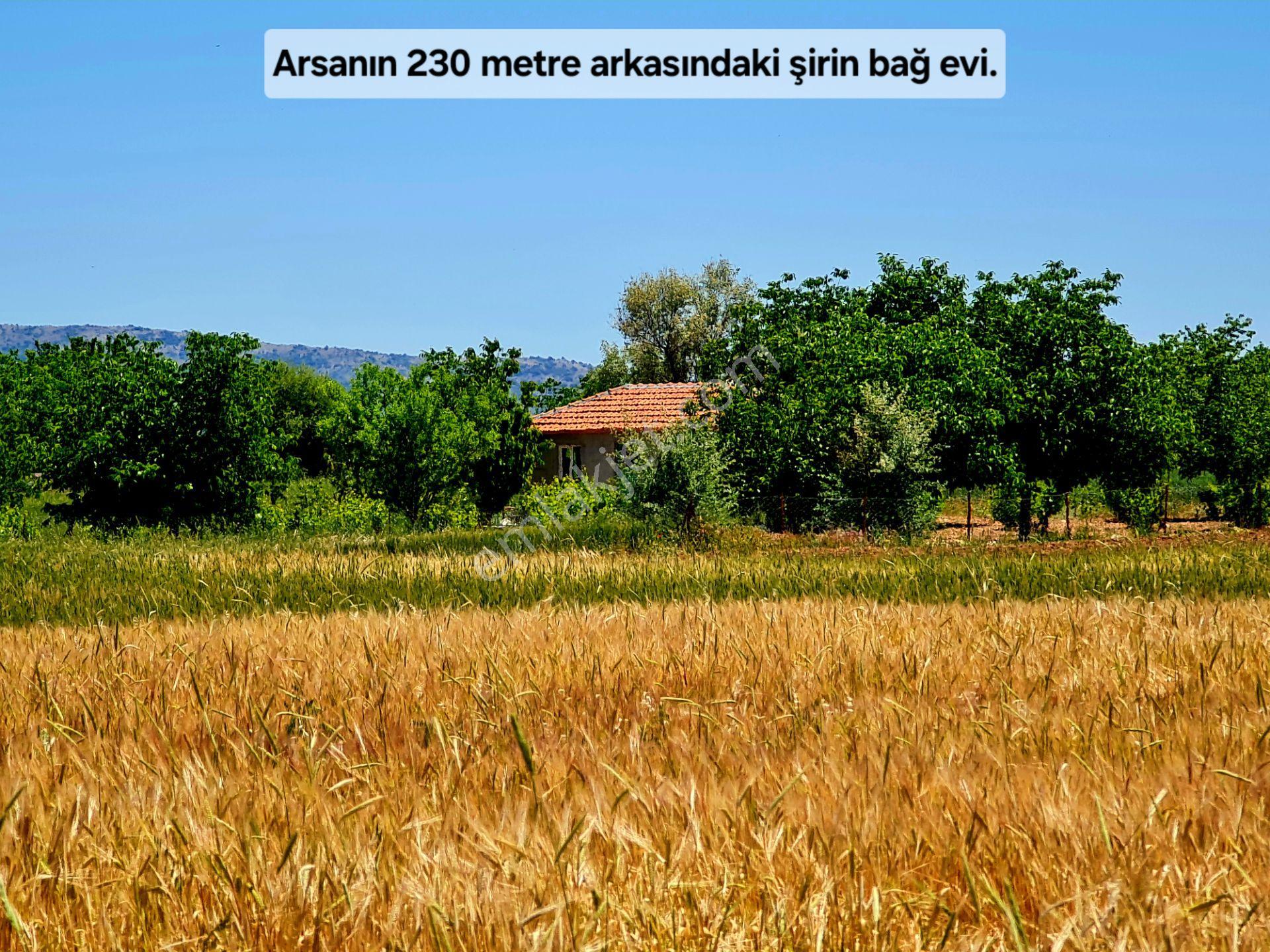Uşak Ulubey Büyükkayalı'da 1181m² Köyiçi Kupon Arsa 944m² Konut İmarlı. Açıklamada. Tapuda Buluşuyoz — fotoğraf 22