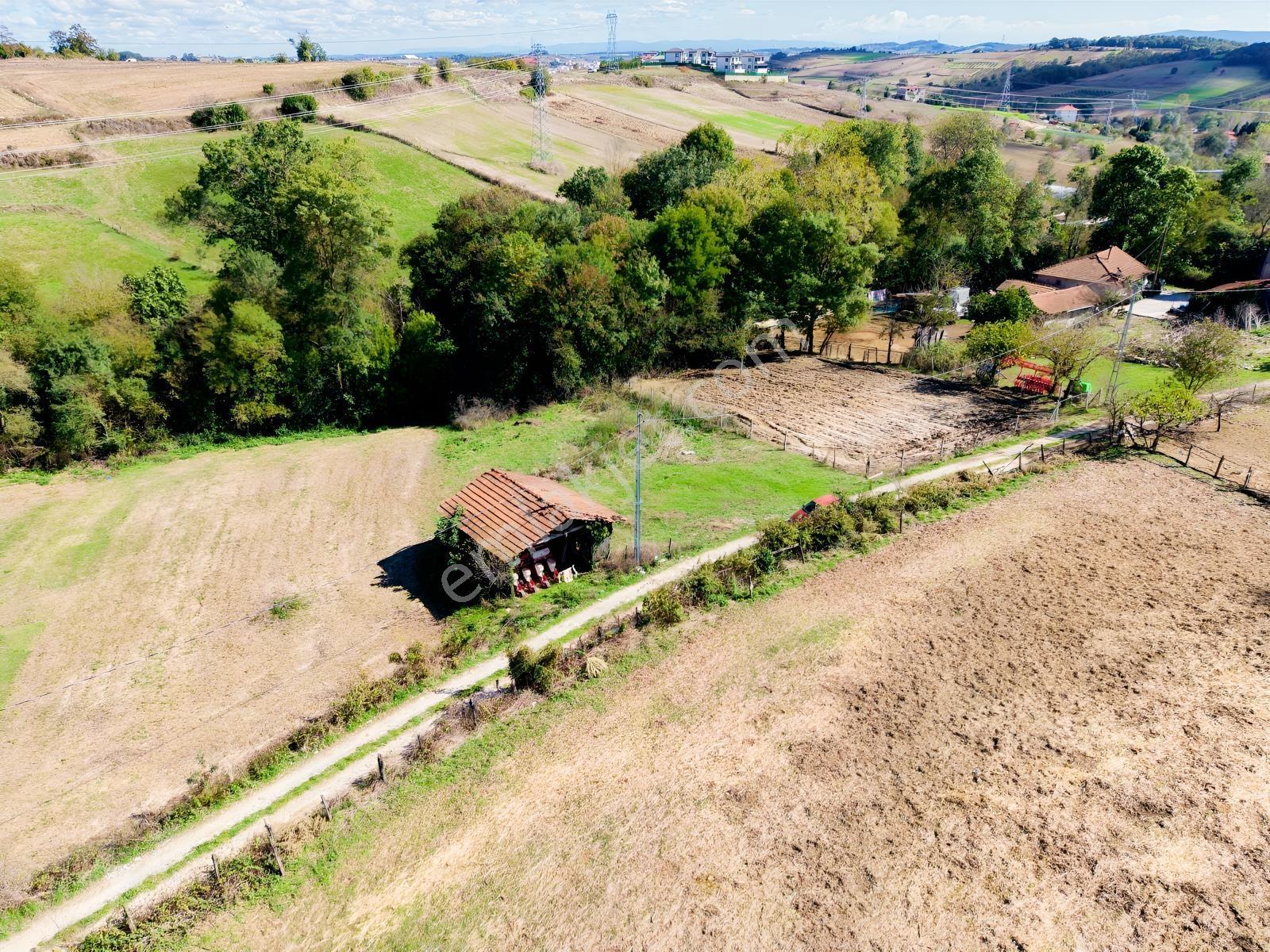 Kaynarca Kertilde 945m2 İmarlı Resmi Yollu Fırsat — fotoğraf 2