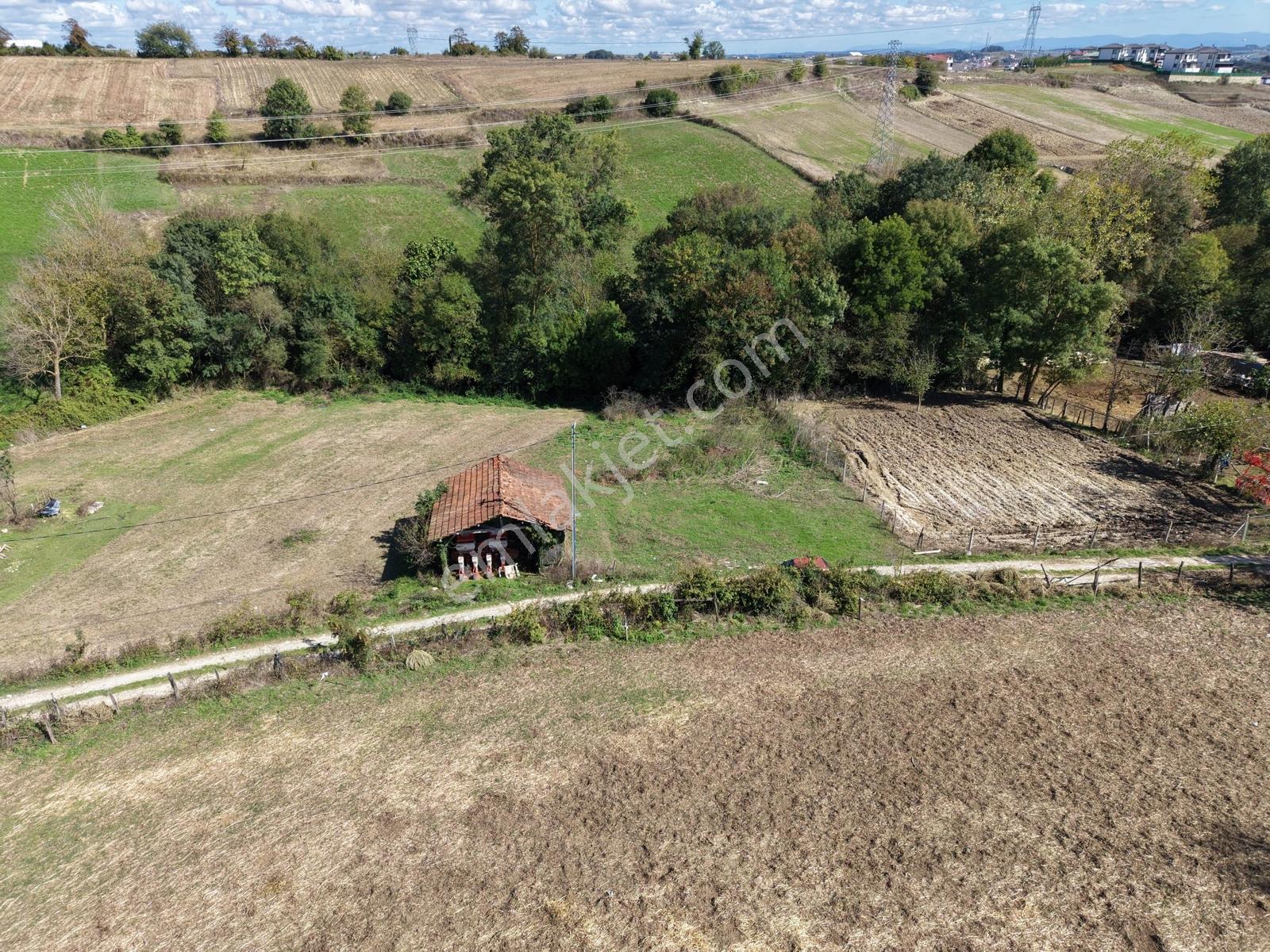 Kaynarca Kertilde 945m2 İmarlı Resmi Yollu Fırsat — fotoğraf 21