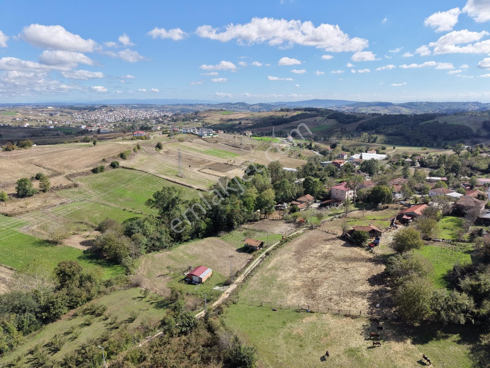 Kaynarca Kertilde 945m2 İmarlı Resmi Yollu Fırsat — fotoğraf 26