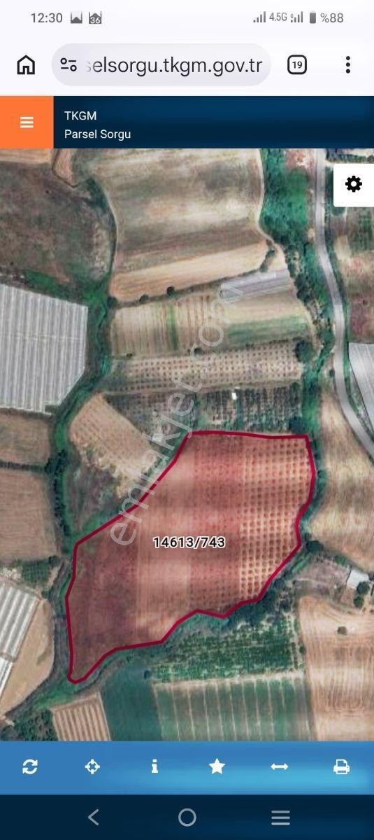 Antalya Aksu Karaözde Satılık Firsat Tarla